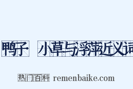 鸭子·小草与浮萍近义词是什么意思的图片